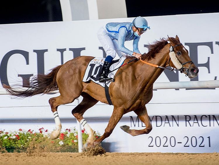 Book Review wins the REACH By Gulf News Handicap at Meydan 