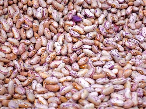 Beans make for many mouthwatering possibilities