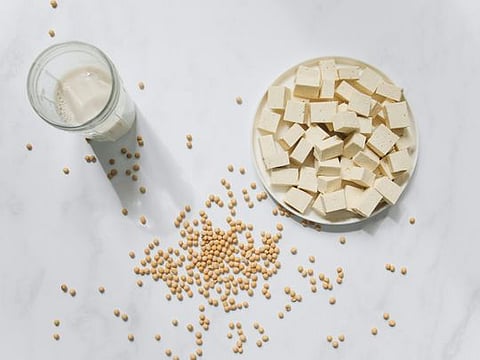 Soya bean and its by-products 