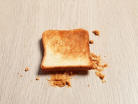 Don't pick that sandwich off the floor and eat it - studies say even in five seconds food can pick up enough bacteria to make you sick.