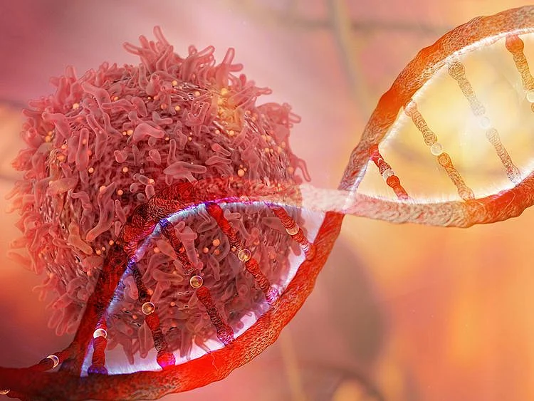 New weapons against cancer