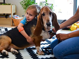 In photos: Adorable therapy dogs help UAE kids learn to read on World Read Aloud Day