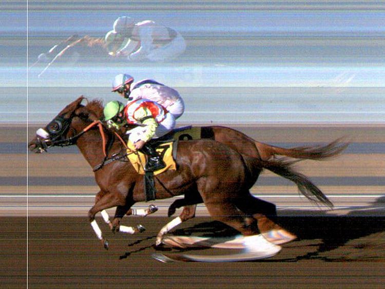 Horseracing - Saltarindubai