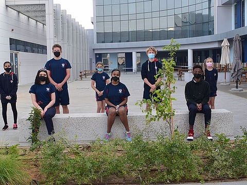 Students involved in sustainable planting at Dwight School Dubai campus using 'breathable sand' 