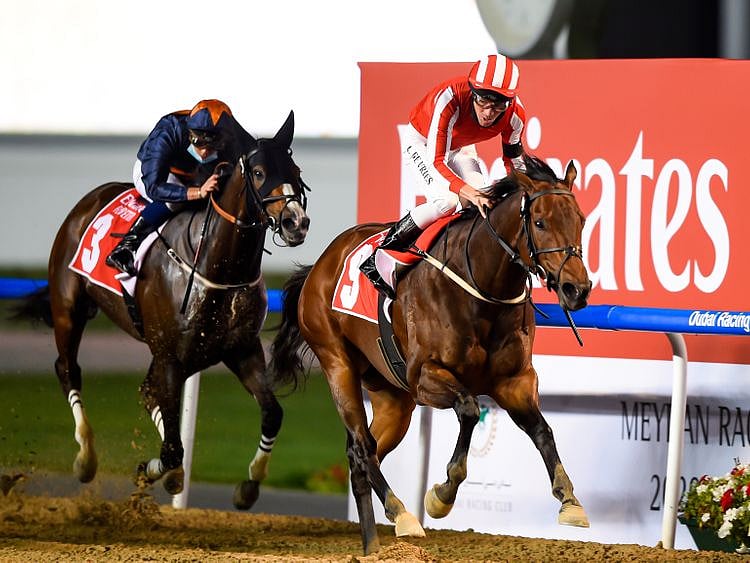 Horseracing - Salute the Soldier