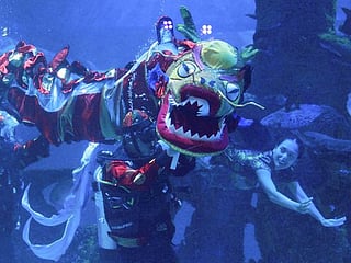 Photos: Underwater dragon show marks Chinese Lunar New Year