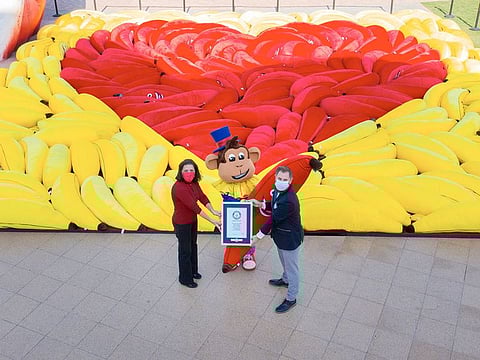 The iconic Carnaval Banana was used to create a heart; more than 400 giant bananas, which measured 144.8 square meters, were used.