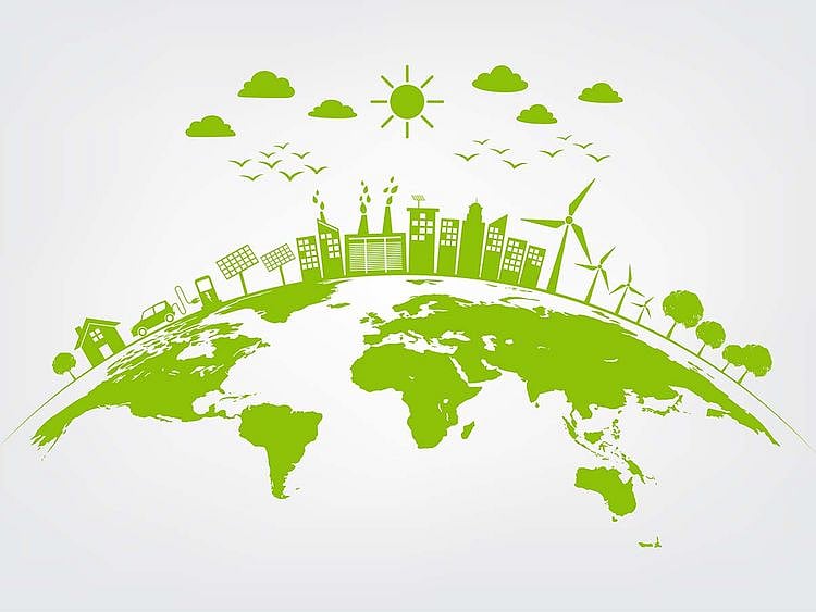 Stock Sustainability