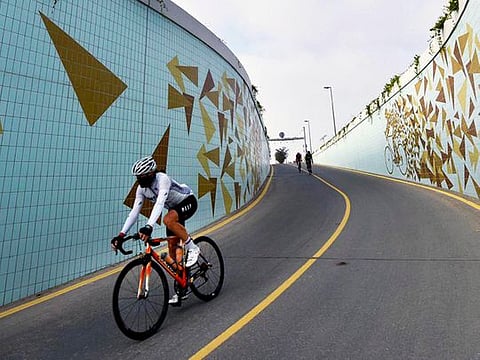 In pictures: Cycling underpass at Dubai’s Al Qudra designated as Houbara Tunnel