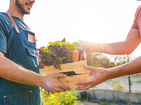Neighbours share homegrown produce