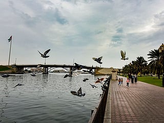 Temperatures to reach up to 38°C as unsettled weather, fresh winds and reduced visibility affect parts of the country