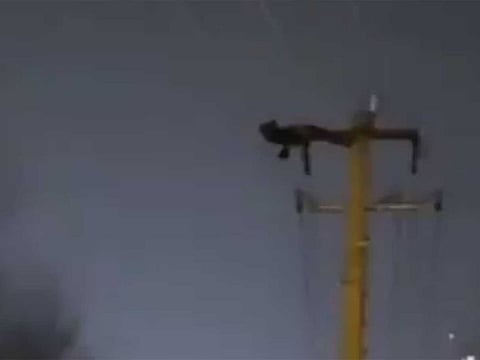 Screengrab / Twitter