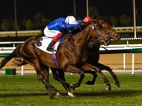 Volcanic Sky, ridden by Frankie Dettori (white helmet) and trained by Saeed Bin Surour, wins the Nad Al Sheba Trophy Sponsored By Gulf News at the Dubai World Cup Carnival at Meydan on Thursday.