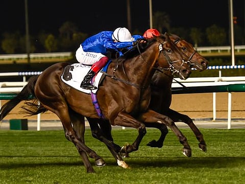Volcanic Sky, ridden by Frankie Dettori (white helmet) and trained by Saeed Bin Surour, wins the Nad Al Sheba Trophy Sponsored By Gulf News at the Dubai World Cup Carnival at Meydan on Thursday.