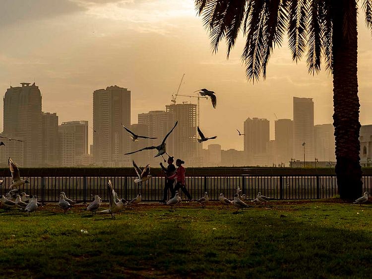 Stock Sharjah weather skyline property