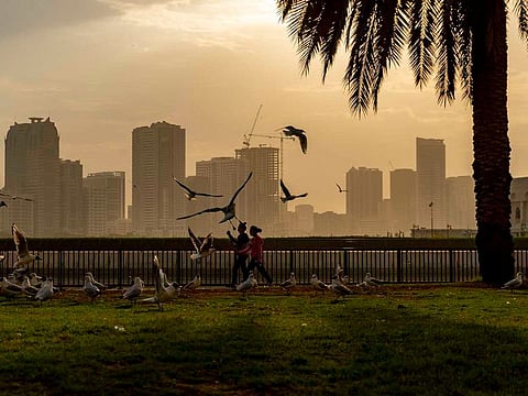 Sharjah skyline 