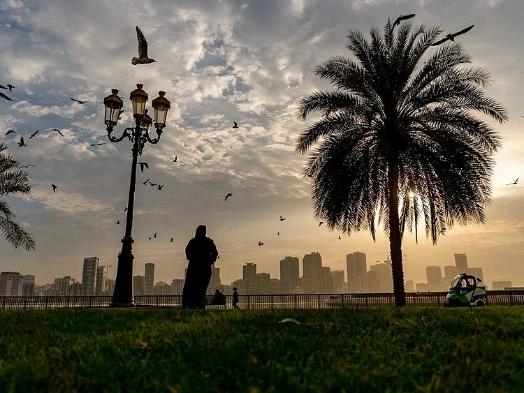Stock Sharjah weather skyline property