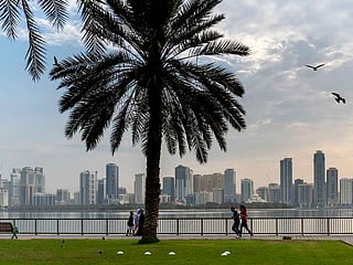 Sharjah skyline 