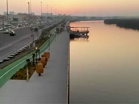 Mangrove Waterfront