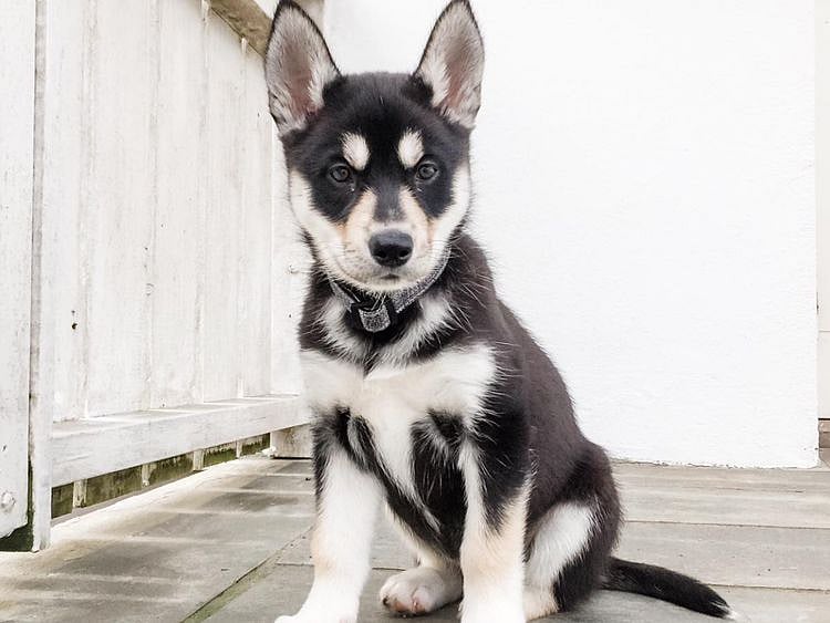 IMG-20210223-WA0000-1614582384107