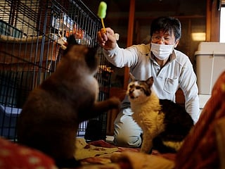 Photos: The man who saves forgotten cats in Fukushima's nuclear zone