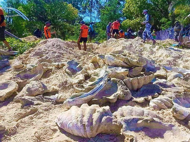 Philippine clam shells raid coast guard