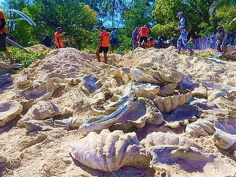 This undated handout photo released by the Philippine Coast Guard (PCG) on March 5, 2021 shows coast guard personnel, marine troops and local conservation officials unearthing illegally harvested giant clams worth around $3.3 million on the black market near the homes of residents on Johnson Island, Palawan province. 