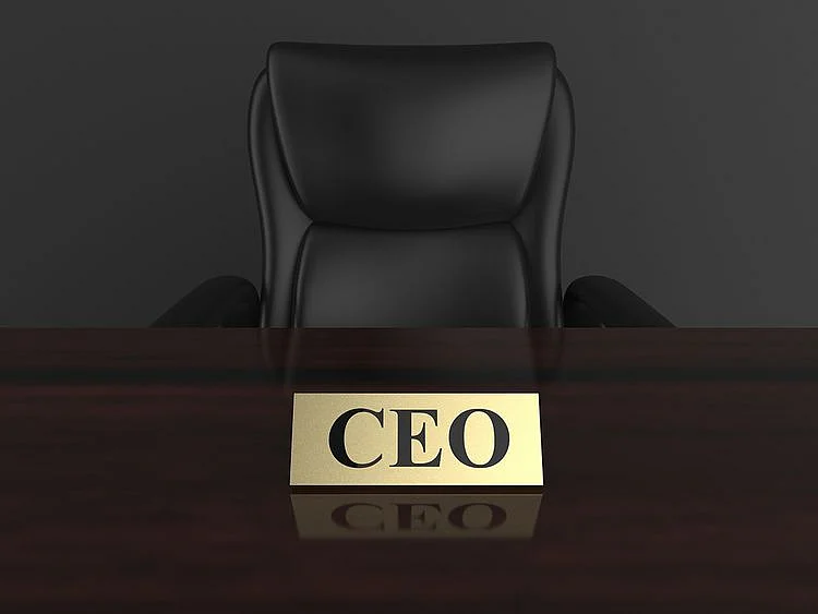 Stock CEO