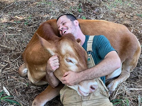 James Higgins,  who runs the Krishna Cow Sanctuary in Hawaii, hugs Tulsi. 