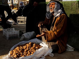 'A blessing from God': Iraqi truffle hunters unearth desert harvest 