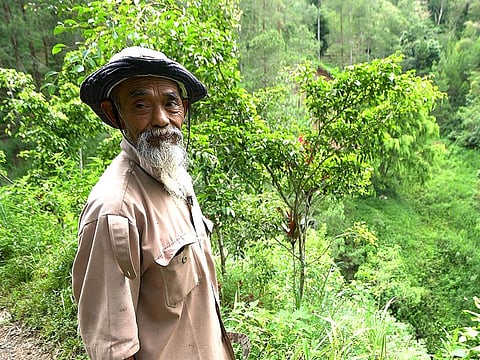 Sadiman, a 69-year-old ecowarrior, stands near a hill which is the first area he replanted with trees 20 years ago, in Wonogiri, Central Java province, Indonesia.