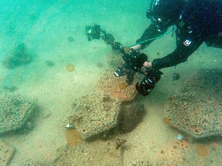 Photos: Hong Kong's fragile coral reefs boosted by 3D printing