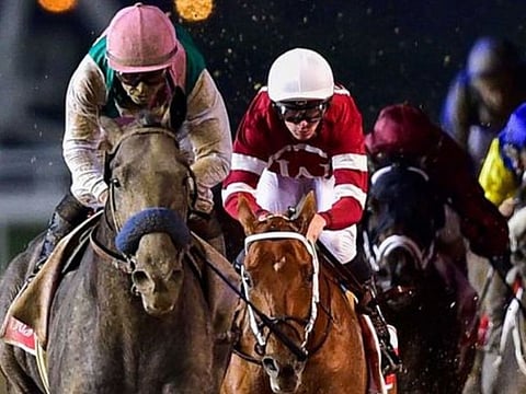 Over the years, the Sheikh Mohammed bin Rashid Al Maktoum Endurance Festival has attracted the world’s most elite endurance riders to the UAE.