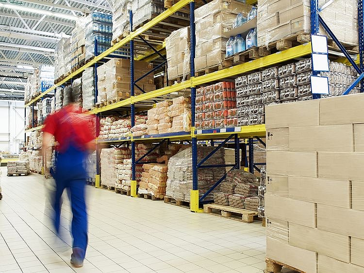 Food wholesalers DUNS100