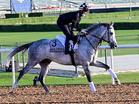 Photos: Dubai World Cup 2021 contenders get down to work at Meydan