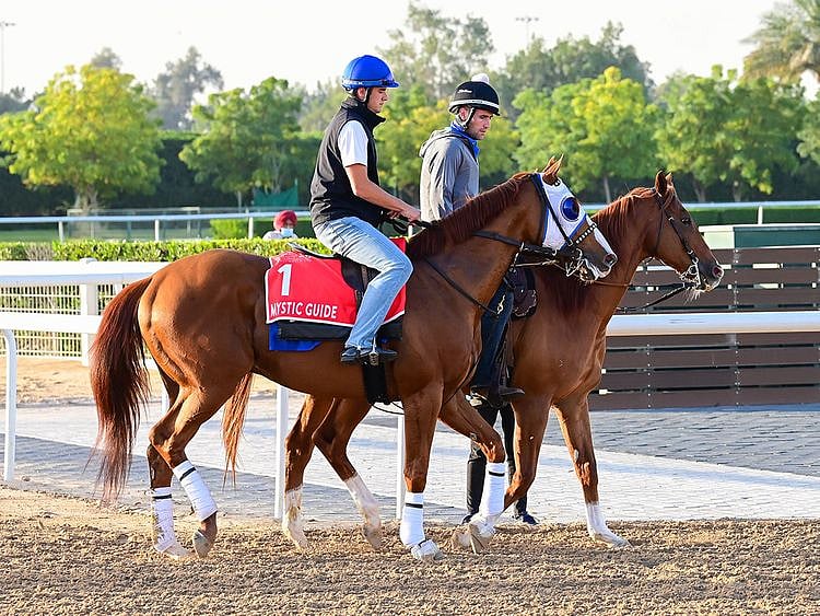 Godolphin's Mystic Guide looks like the one to beat in the Dubai World Cup 