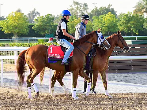 Godolphin's Mystic Guide looks like the one to beat in the Dubai World Cup 