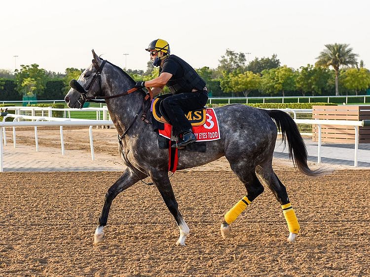 Sleepy Eyes Todd looked to be in fine form at MAydan ahead of the Dubai World Cup