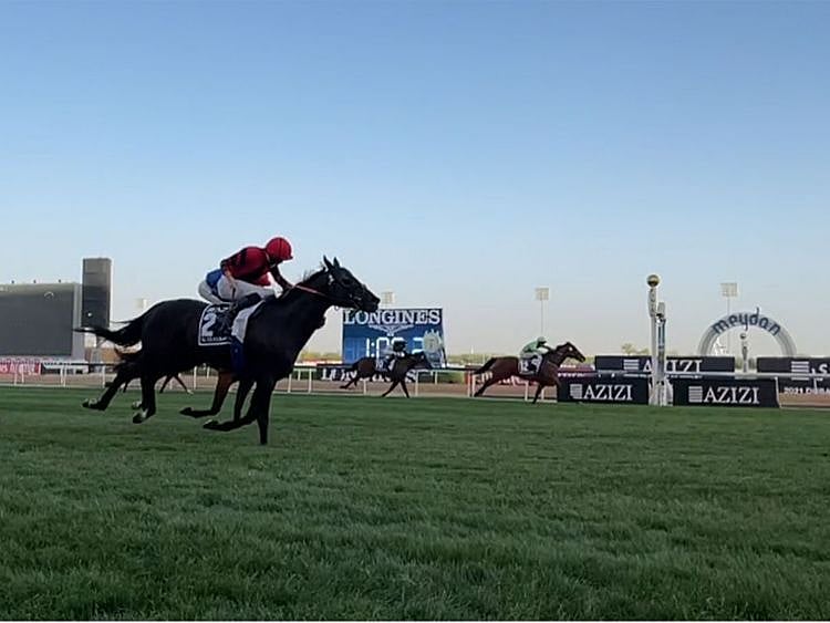 Extravagant kid - DWC