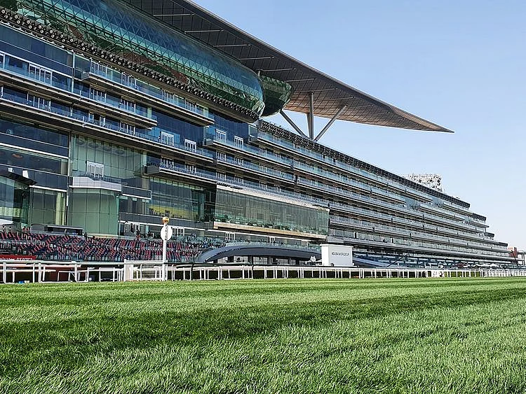 Meydan track before race