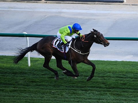 Subjectivist, ridden by jockey Joe Fanning and trained by Mark Johnston wins the Dubai Gold Cup race of 25th Dubai World Cup at Meydan racecourse on Saturday 27 March 2021.