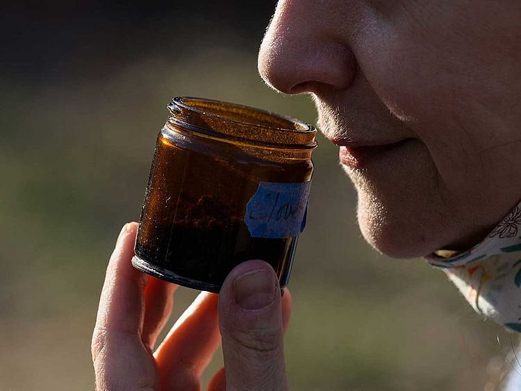 Long COVID, no smell