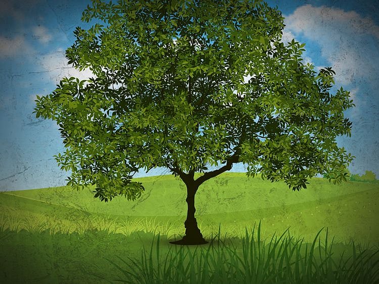 UAE tree environment