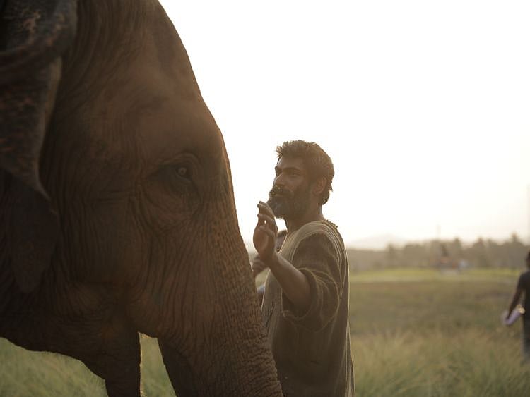 Rana 1-9N2A3932-1617197385175