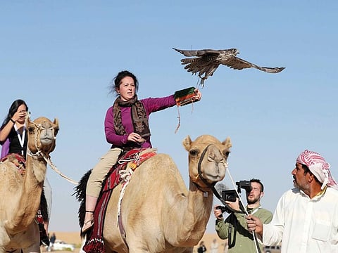The breeding of falcons in captivity had a big impact on the sport of falconry.