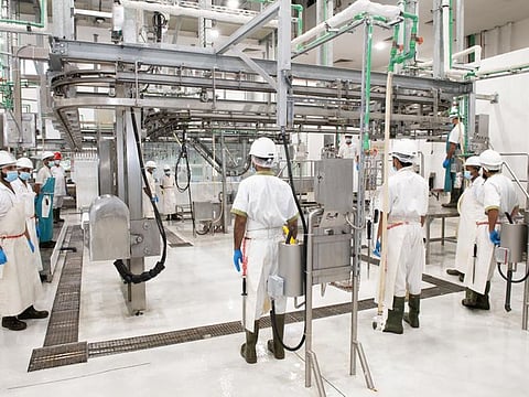 Dubai Municipality Abattoirs have started their preparations to cope with the Ramadan rush. 