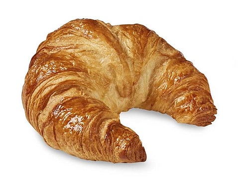 Dangerous looking animal lurking in a tree in Poland turns out to be a croissant