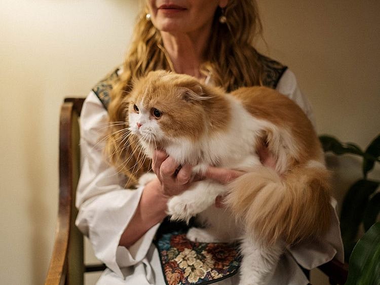 pet-owner-with-cat