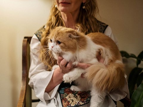 UAE-based pet parents, veterinarians reveal what goes into caring for cats and exotic pets like rabbits, tortoises, hamsters, among others.