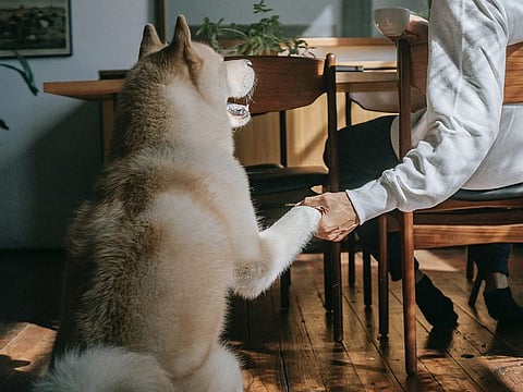 The new gen prefers independently owned cafes across the street
